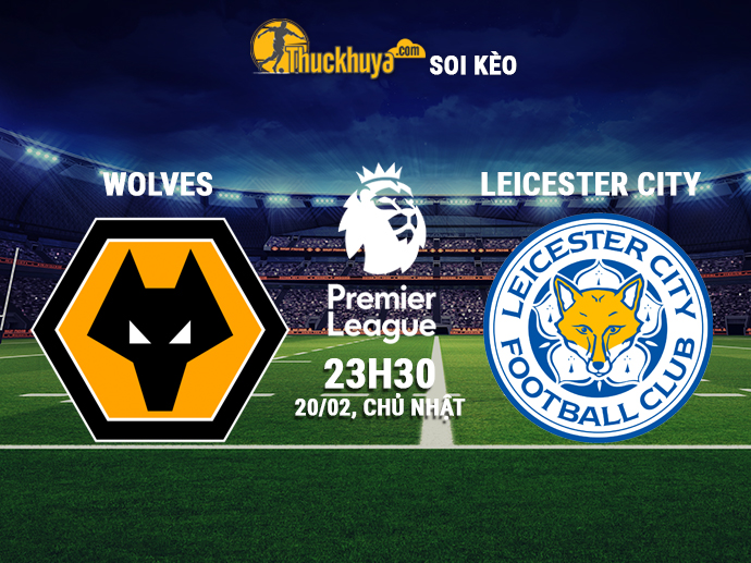 Soi kèo Wolverhampton vs Leicester City, 23h30 ngày 20/02/2022